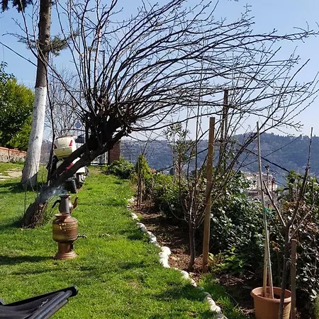 Bogazin Incisi.. * Istambul