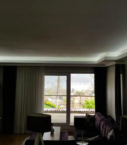 Bogazin Incisi.. * 伊斯坦布尔