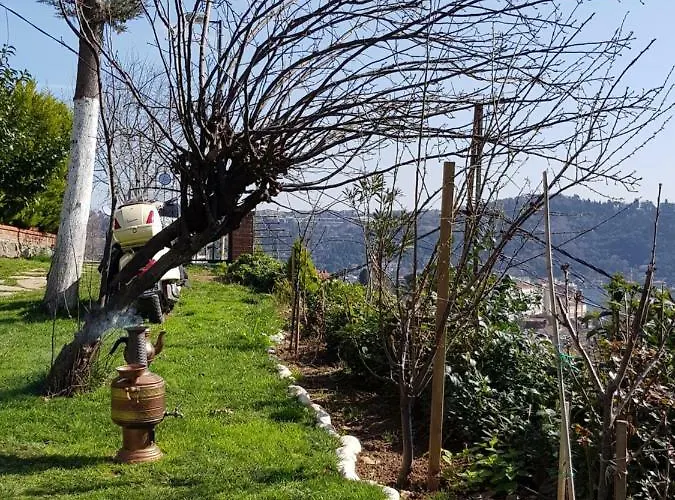 Bogazin Incisi.. * 伊斯坦布尔